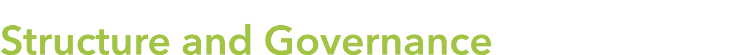  Structure and Governance