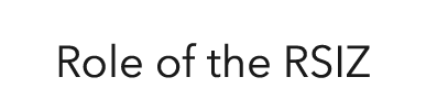 Role of the RSIZ